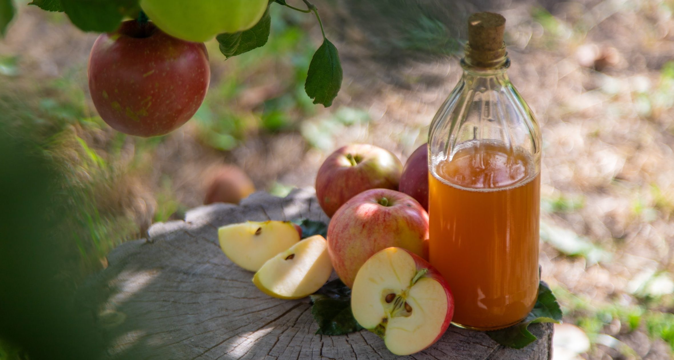 Read more about the article Unlocking the Health Benefits of Apple Cider Vinegar